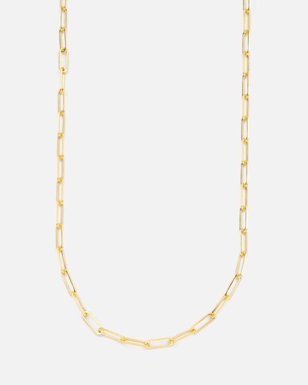 Aveer Rope Gold Chain