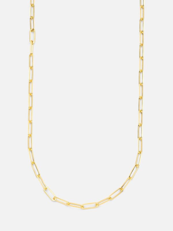 Aveer Rope Gold Chain